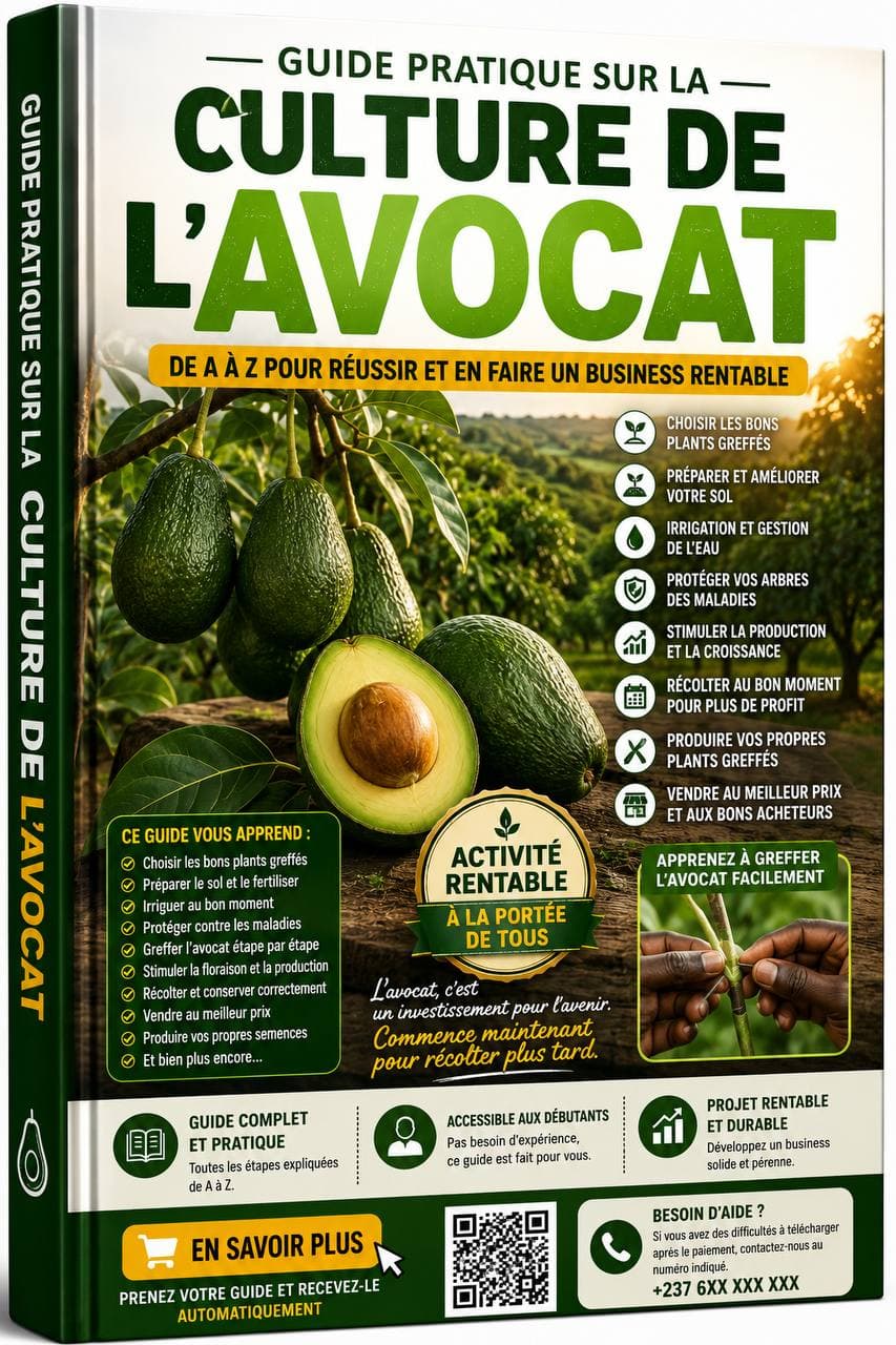 Couverture de Cultiver l'Avocat : Ton Projet Agricole d'Avenir