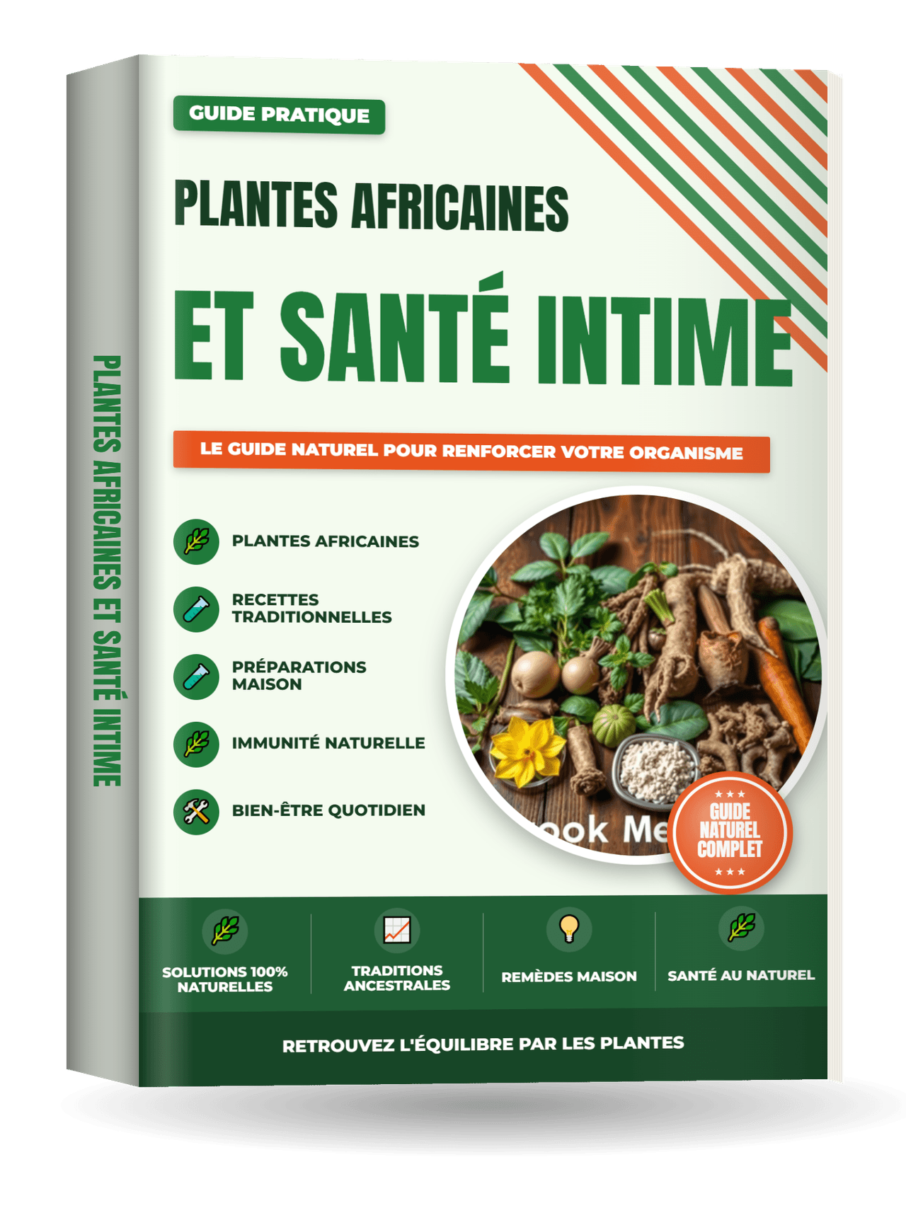 Couverture de Plantes Africaines et Santé Intime